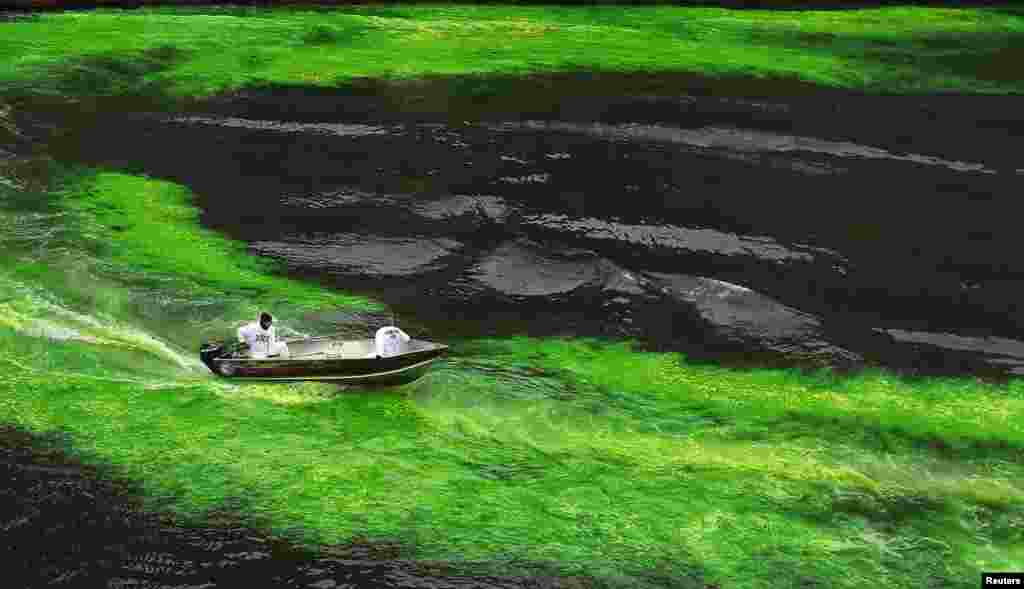 The Chicago River is dyed green in celebration of St. Patrick's Day in Chicago, Illinois, USA.