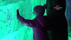 Սեինթ Փոլ քաղաքի "Ձմեռային շքահանդես"-ը