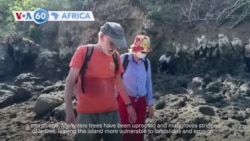 VOA60 Africa - Mayotte: Nature specialists assess damage from Cyclone Chido