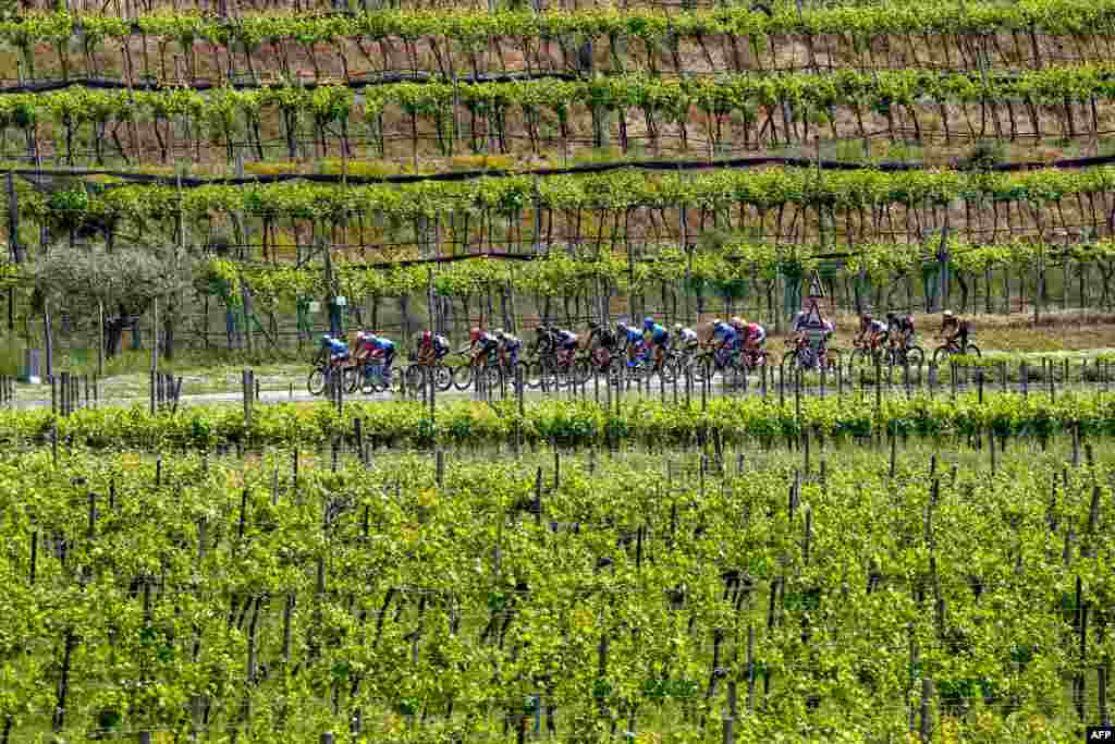 Riders cycle through vineyards near Peschiera del Garda during the 18th stage of the Giro d&#39;Italia 2021 cycling race, 231km between Rovereto and Stradella, Italy.