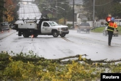 A worker prepares to place cones around a downed tree that damaged power lines and blocked a road during a strong storm in Seattle, Washington, Nov. 17, 2015.