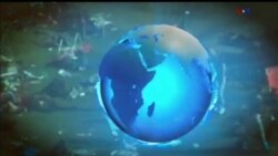 اخبار شامگاهی