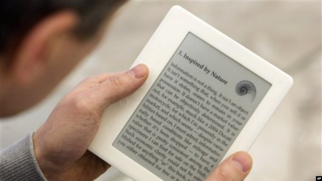Best-sellers, children’s books, reference books: They’re all being added in electronic format in libraries across America. 