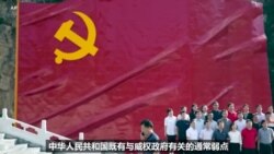 反映美国政府政策立场的视频社论：中国挑战的方方面面(4)：中国的薄弱点