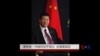 美专家: 中国司法不独立反腐难成功
