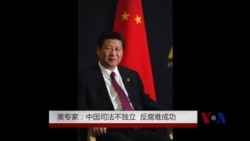 美专家: 中国司法不独立 反腐难成功