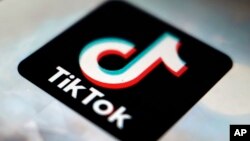 Lancé en 2016, TikTok a depuis dépassé 3,5 milliards de téléchargements avec plus d'un milliard d'utilisateurs actifs mensuels.