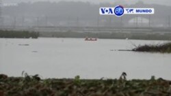 Manchetes Mundo 14 Outubro 2019: Na Polónia nacionalistas ganham eleiçōes