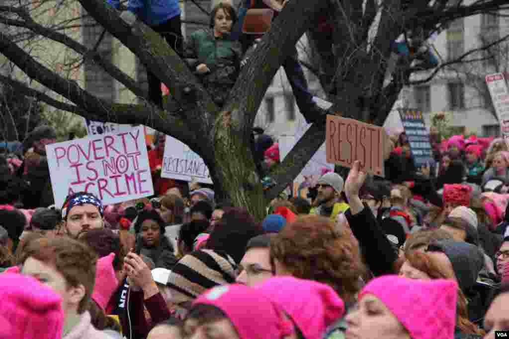 A young boy looks on the Women’s March rally crowd from a tree in Washington, D.C., Jan. 21, 2017. (E. Sarai/VOA)