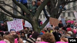 A young boy looks on the Women’s March rally crowd from a tree in Washington, D.C., Jan. 21, 2017. (E. Sarai/VOA)