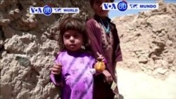 Manchetes Mundo 31 Maio 2016