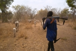 FILE - Cattle keepers walk with their cows during a seasonal migration of their cattle for grazing near Tonj, South Sudan on Feb. 16, 2020. Violence among cattle keepers spiked as they migrated their cattle , crossing paths with opposing clans.