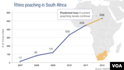 Rhino poaching in South Africa, 2007-2012