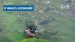 Зеленая река