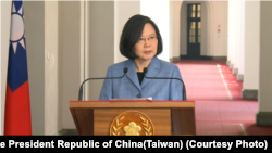 台湾总统蔡英文今年2月在总统府发表回廊谈话(台湾总统府提供)