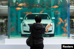 FILE - A man looks at a Cadillac CT6 displayed inside a fish tank during an event promoting the car's environmental-friendly features, in Shanghai, China, Feb. 25, 2016.