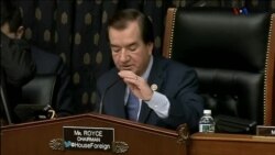 اخبار شامگاهی