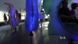 New Carousel in NY Simulates Fish Swimming Patterns