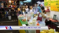 Ống hút làm từ thực vật