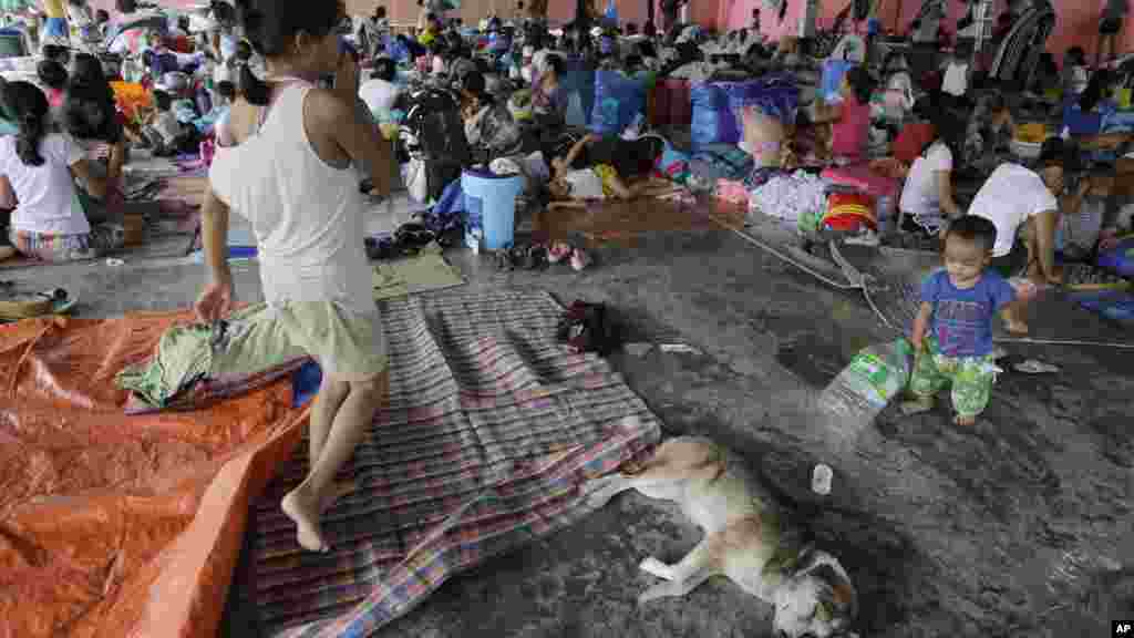 The Philippines national disaster agency reported that more than 500,000 people were affected by Tropical Storm Fung-Wong in metropolitan Manila and nearby provinces, forcing close to 90,000 people to evacuate .Residents are being housed in evacuation cen