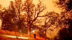 سیکوئیا نیشنل پارک میں لگنے والی آگ