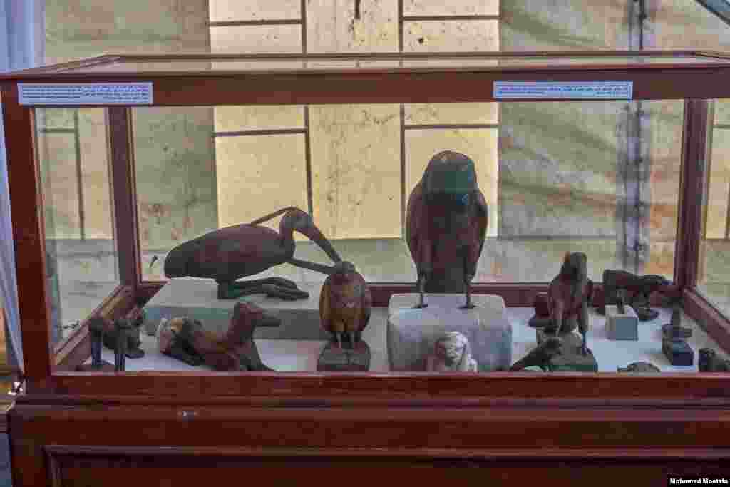 In this display are wooden statues of animals and birds, among them the Apis bull, the mongoose, the ibis, the falcon, and the ancient Egyptian god Anubis in animal form. (H. Elrasam/VOA)