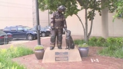 Popular Washington Monument Pays Tribute to Fire Dogs