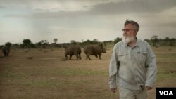 John Hume, the worlds largest rhino breeder walks among his rhinos. Mr. Hume had invested more than $50 million into his rhino project. He currently is the custodian of over 1,500 rhinos. (Photo courtesy of 'Trophy') 