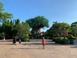 Suasana taman hiburan Disney's Animal Kingdom di tengah pandemi (dok: Alfian Rusli)