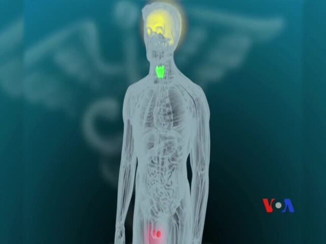 Vỏ cây cho thấy hóa chất độc hại lan truyền trên toàn cầu