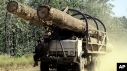 캄보디아 프롬펜 외곽 지역에서 한 트럭이 목재를 실어나르고 있다. (자료사진)