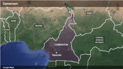Cameroon Separatists Demand Regional Election Boycott