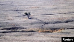 FILE - Tracks made by sheep can be seen in a drought-affected paddock on a farm in central New South Wales, Australia, Sept. 17, 2018.