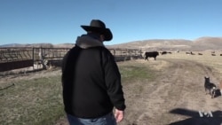Despite Lowest First Year Approval Rating, Rural Voters Stand Behind Trump