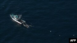 An aerial photograph shows a fishing boat off the coast of Tokyo, Dec. 16, 2019. Five Japanese fishing vessels were seized by Russia on Dec. 18, 2019.