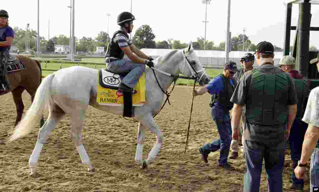 El tordillo Hansen practica la salida en la pista de Churchill Downs en preparaci&oacute;n para el Kentucky Derby que se corre este s&aacute;bado 5 de mayo de 2012. (AP Photo/Garry Jones)