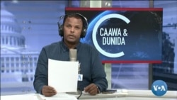 Caawa iyo Dunida