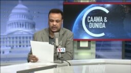 Caawa iyo Dunida