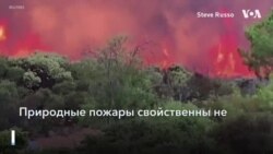 «Зомби-пожары»: рекорд парниковых выбросов в Арктике