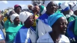 Prophets Remove Snake Killing People in Rural Zimbabwe