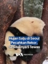 Hujan Salju di Seoul Pecahkan Rekor, Setidaknya Lima Tewas