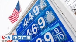 美国之音中文广播 (2026年3月10日)