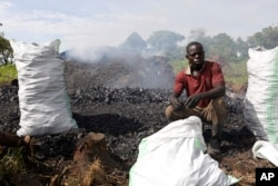 Deo Ssenyimba crouches next to sacks of charcoal in Gulu, Uganda, May 27, 2023. The burning of charcoal is now restricted business across northern Uganda amid a wave of resentment by locals who have warned of the threat of climate change stemming from the uncontrolled felling of trees by outsiders. "We are not going to stop," Ssenyimba said, who has been active in northern Uganda for 12 years. (AP Photo/Hajarah Nalwadda)