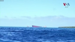 موریشیس: تیل بردار جہاز کی لیکیج سے سمندری حیات کو خطرہ