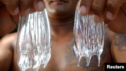 FILE - Man holds up two box jelly fish, July 22, 2003 on Waikiki Beach. 