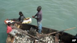 Namibe: Trabalhadores da pesca há cinco anos sem salários