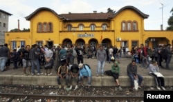 A group of immigrants who have made through police blockades arrive at the Gevgelija railway station August 21, 2015. Macedonian police drove back crowds of migrants and refugees trying to enter from Greece on Friday after a night spent stranded in no-man