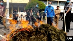 Ganja terlarang untuk diperdagangkan di Indonesia.