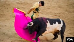 Matador