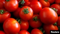 Tomatoes are the main ingredient in many traditional pasta sauces.